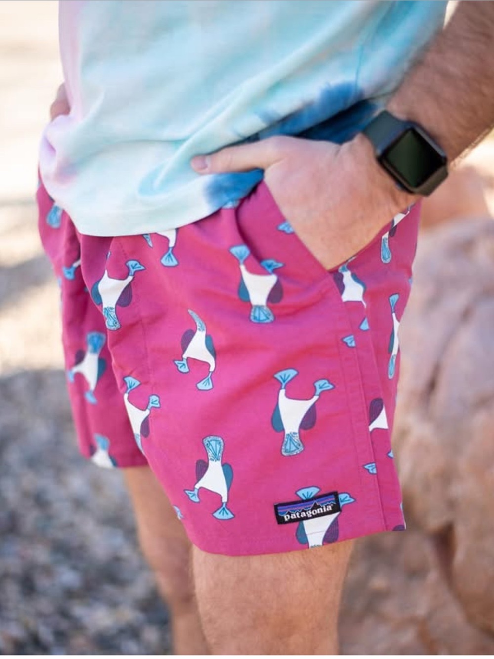 Patagonia Blue Footed Booby Bird Printed Swim Trunks in Pink